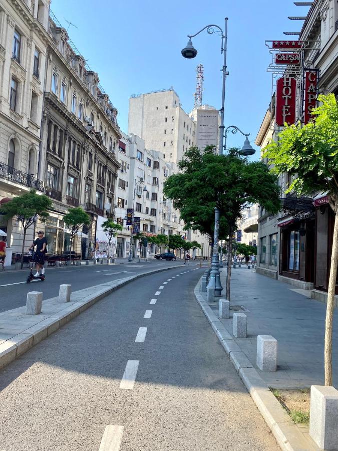 Ultracentral - Apartament Pe Calea Victoriei Bukarest Eksteriør billede